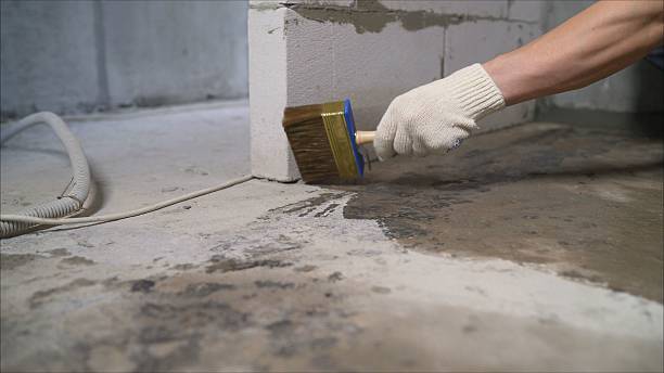SJ Waterproofing Pros Crawl Space Encapsulation coverage map for Beaverton, MI and surrounding area